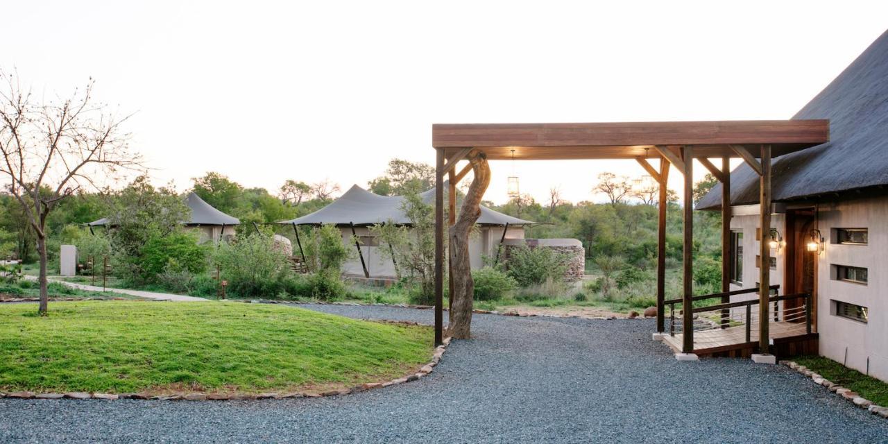 Thabamati Luxury Tented Camp Timbavati Vadrezervátum Kültér fotó